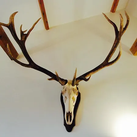 Minster View Penthouse