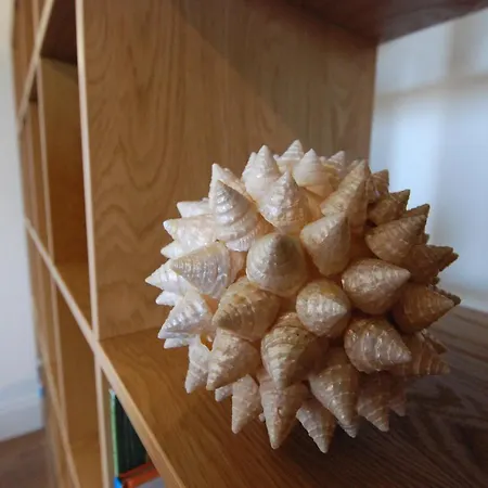 アパート Minster View Penthouse