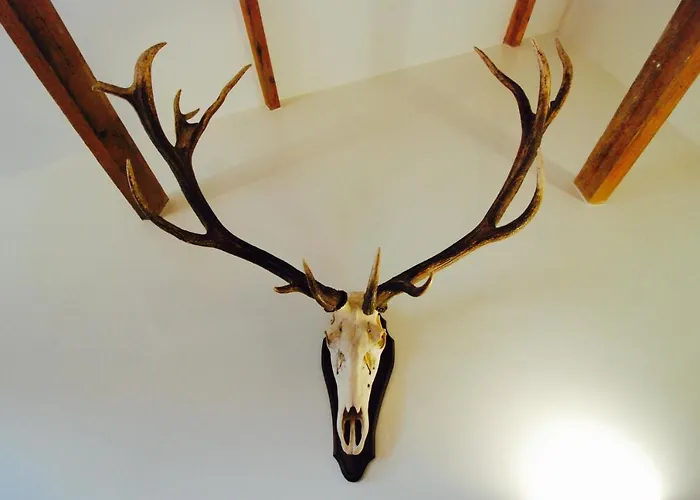 Minster View Penthouse