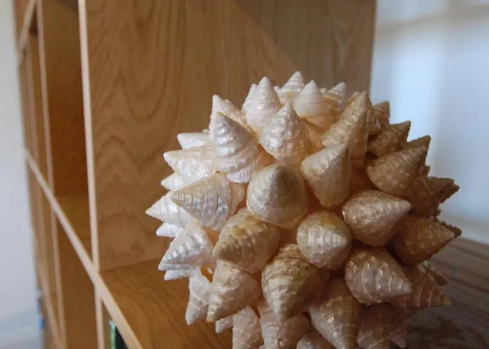 Apartman Minster View Penthouse